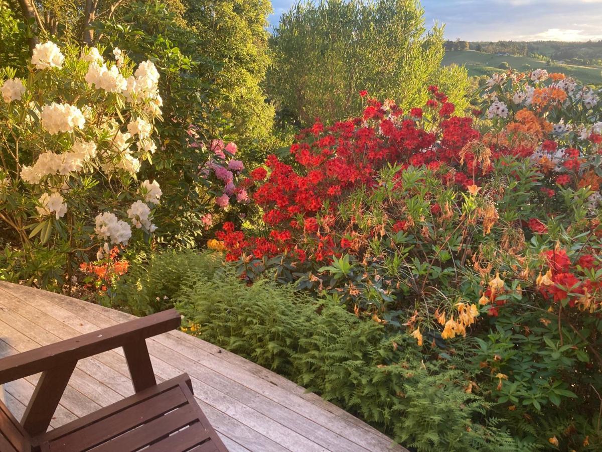 2 Views At Tasman Bed and Breakfast Εξωτερικό φωτογραφία