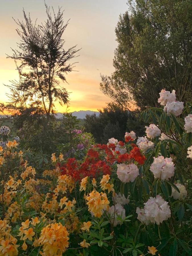 2 Views At Tasman Bed and Breakfast Εξωτερικό φωτογραφία